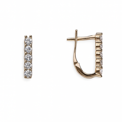 Kuldsed kõrvarõngad