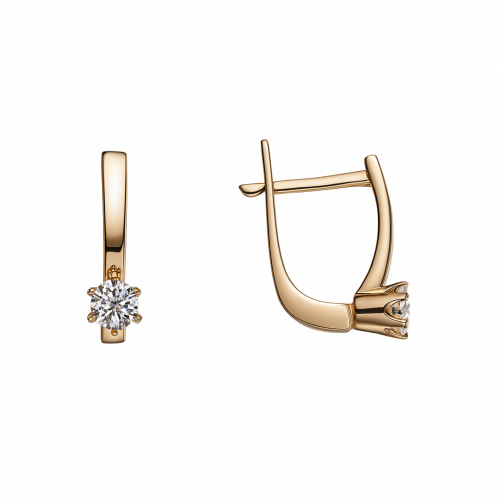 Kuldsed kõrvarõngad