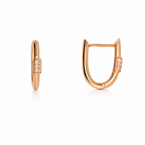 Kuldsed kõrvarõngad