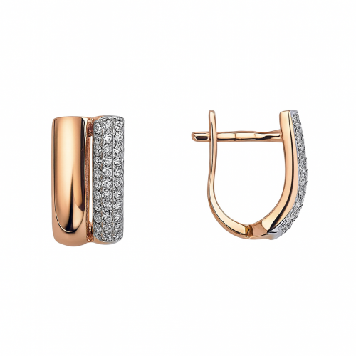 Kuldsed kõrvarõngad