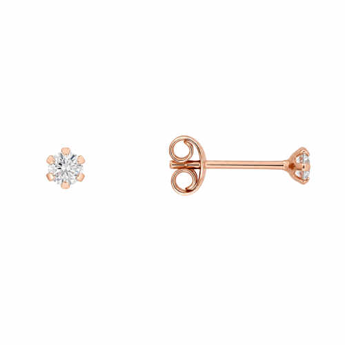 Golden earrings
