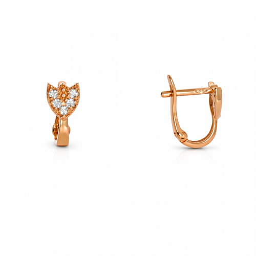 Kuldsed kõrvarõngad