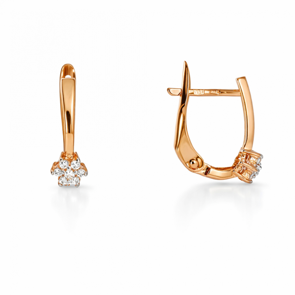 Kuldsed kõrvarõngad