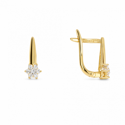 Kuldsed kõrvarõngad