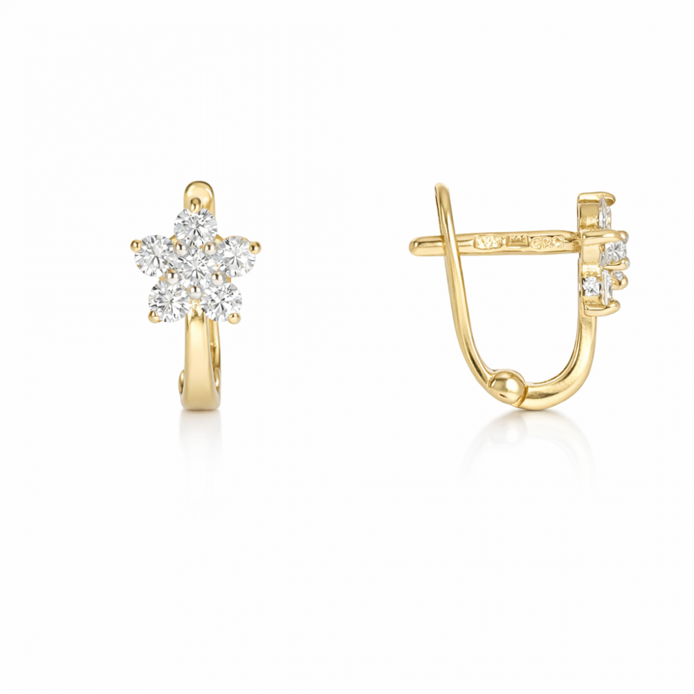 Kuldsed kõrvarõngad