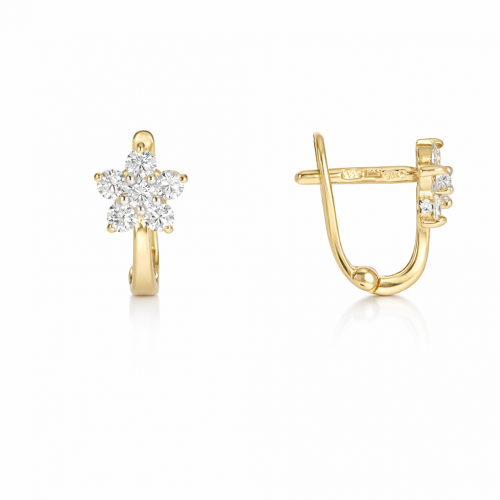 Kuldsed kõrvarõngad