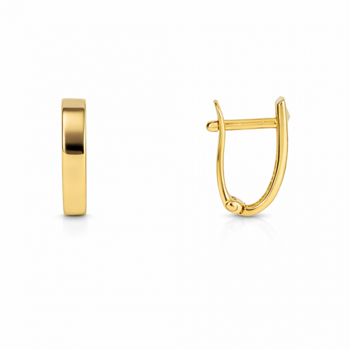 Kuldsed kõrvarõngad