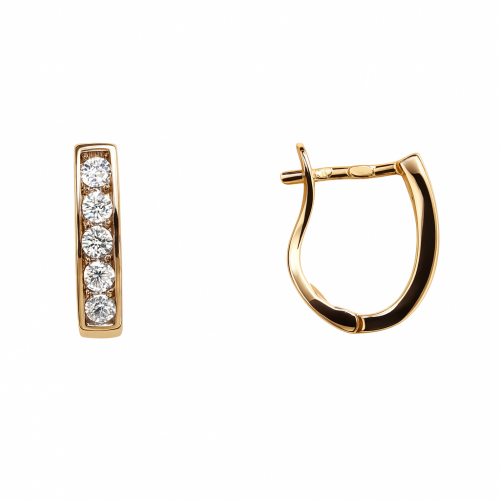 Kuldsed kõrvarõngad