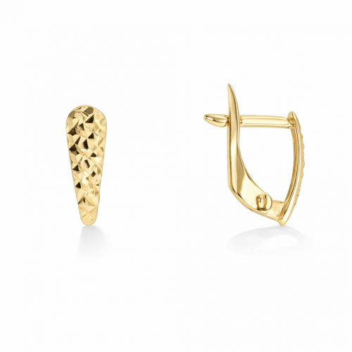 Kuldsed kõrvarõngad