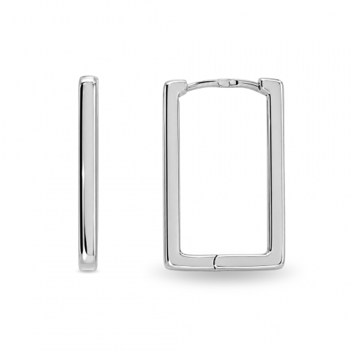 Silver earrings