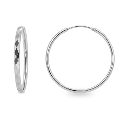 Silver earrings
