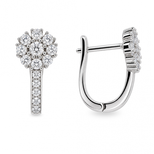 Silver earrings