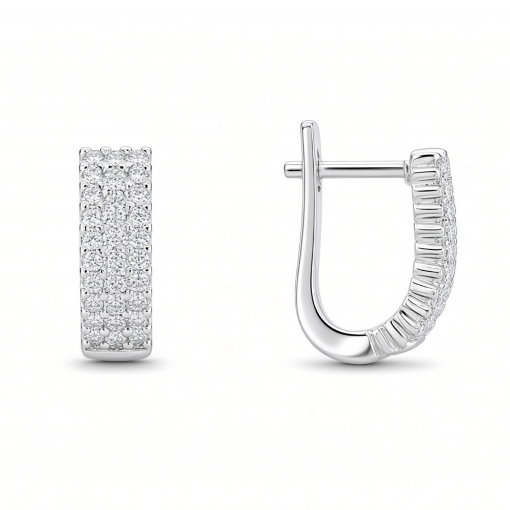 Silver earrings