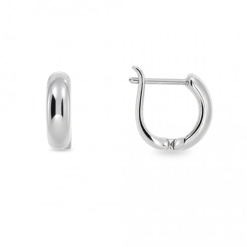 Silver earrings