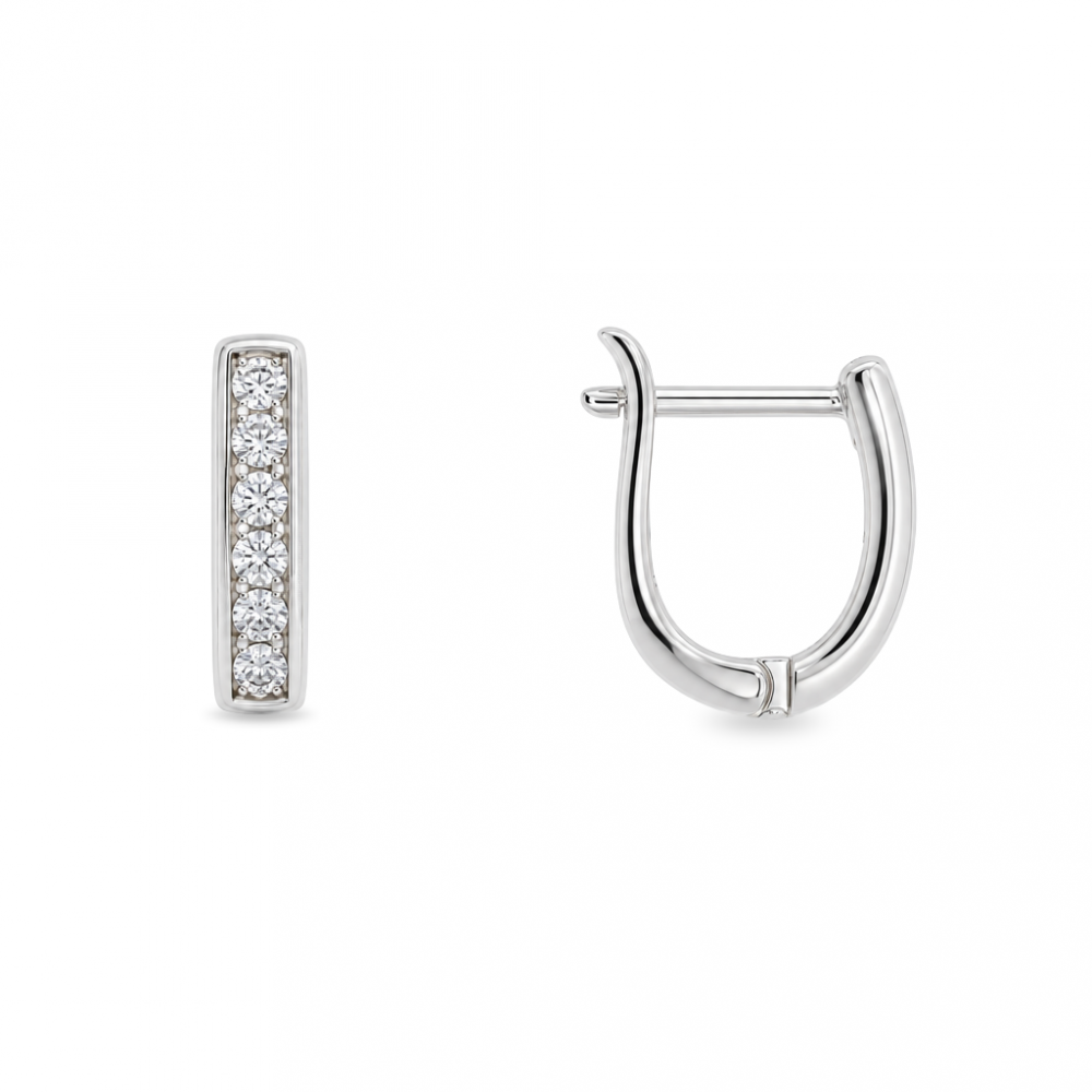 Silver earrings