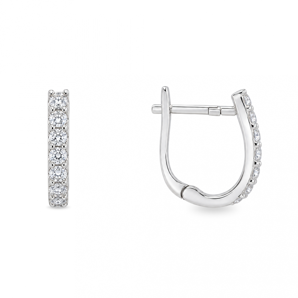 Silver earrings