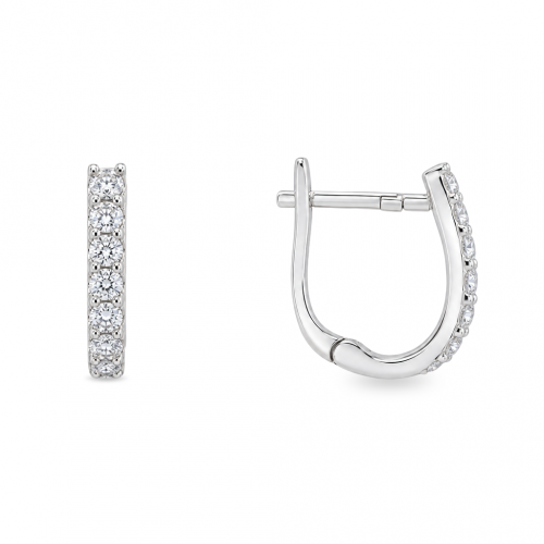 Silver earrings