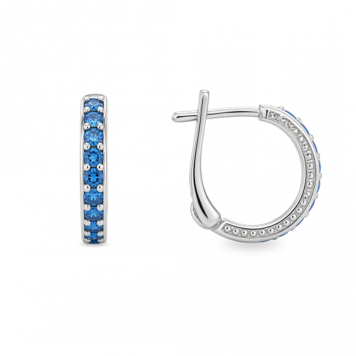 Silver earrings