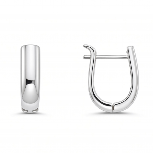 Silver earrings