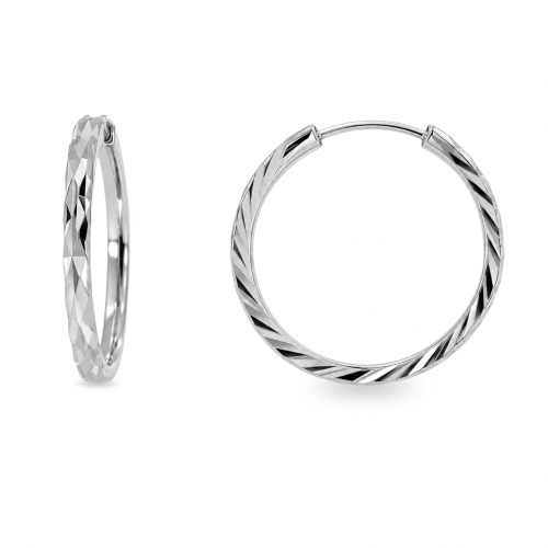 Silver earrings