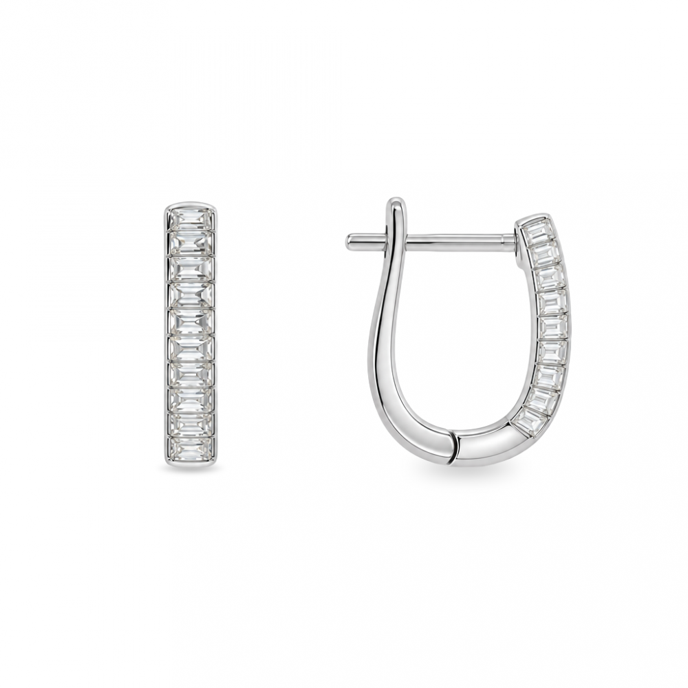 Silver earrings
