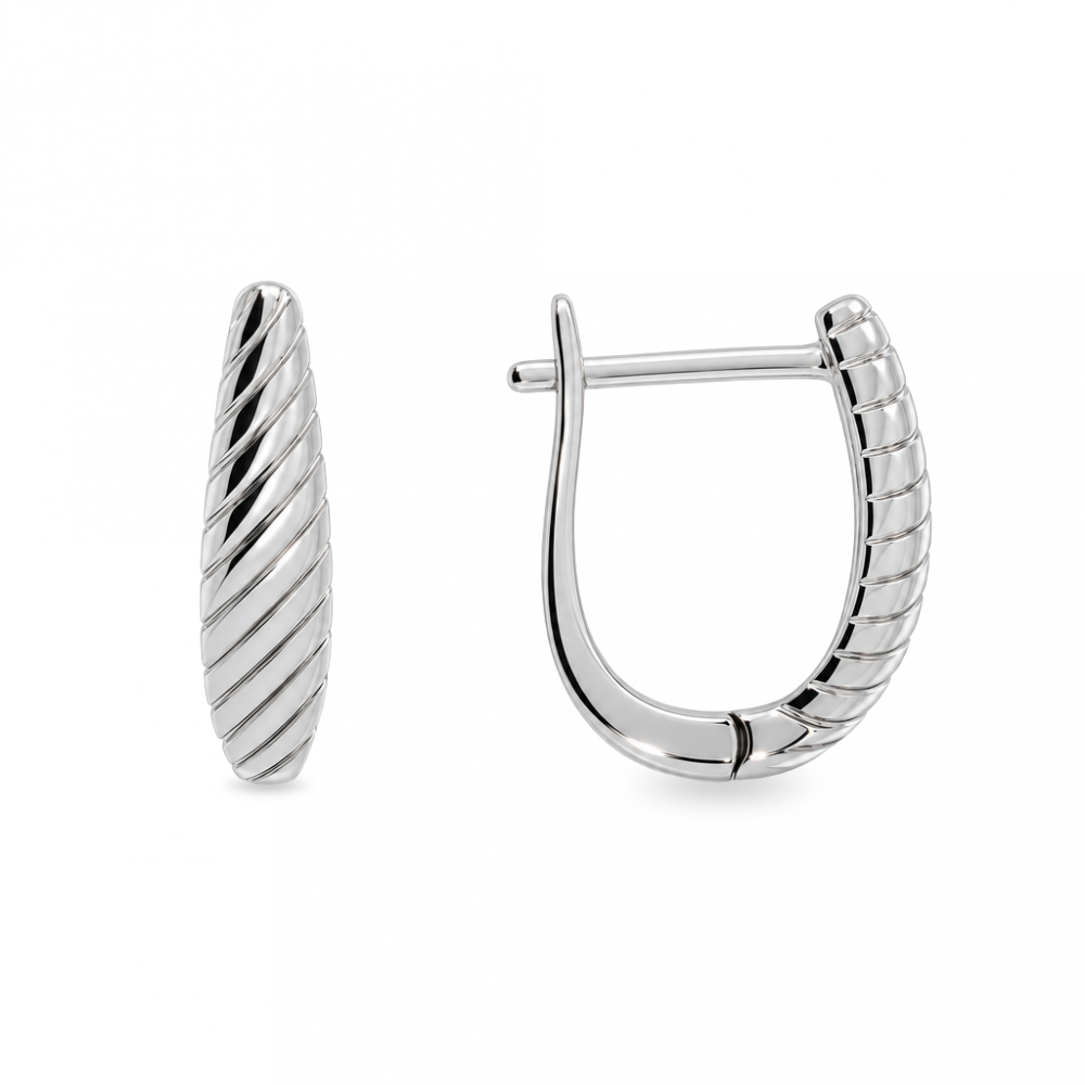 Silver earrings