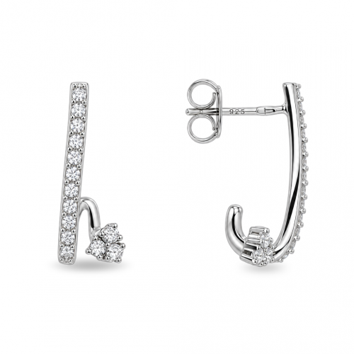 Silver earrings