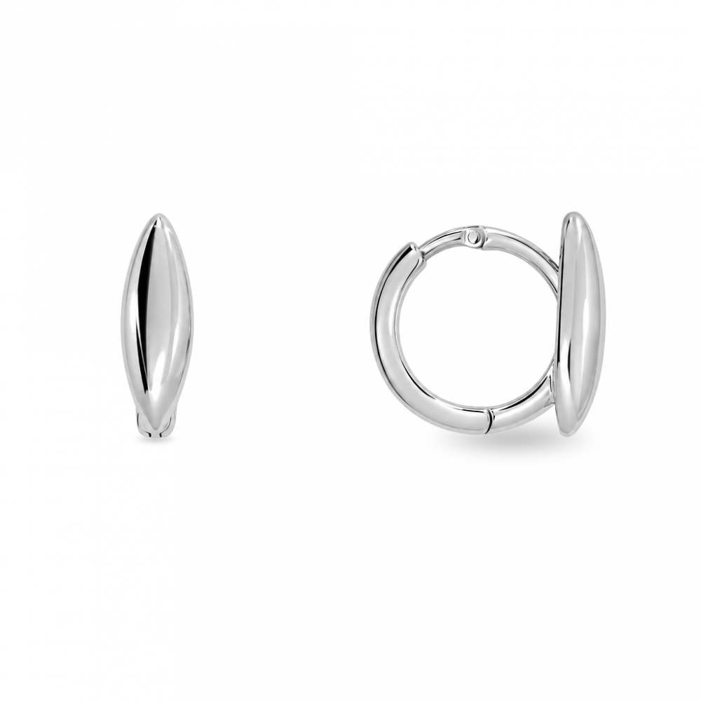 Silver earrings