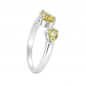 Silver ring