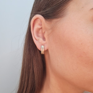 Kuldsed kõrvarõngad