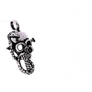 Sidabrinis pakabukas