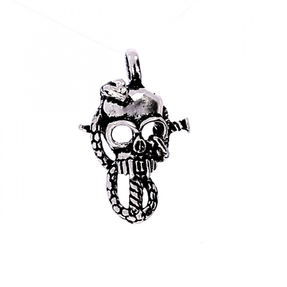 Sidabrinis pakabukas