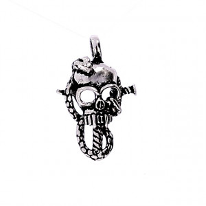 Sidabrinis pakabukas