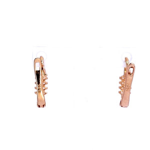 Tsirkooniga kuldkõrvarõngad