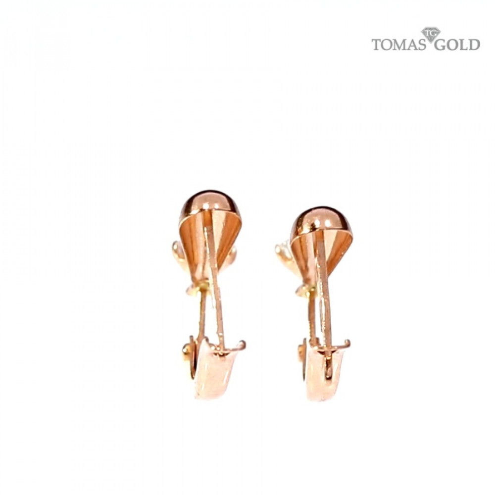 Kuldsed kõrvarõngad