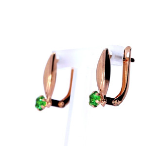 Kuldsed kõrvarõngad