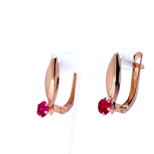 Kuldsed kõrvarõngad