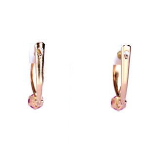 Kuldsed kõrvarõngad