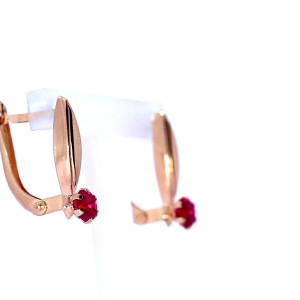 Kuldsed kõrvarõngad