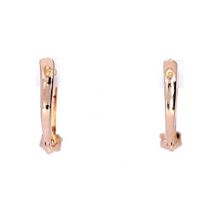 Auksiniai auskarai su cirkoniu