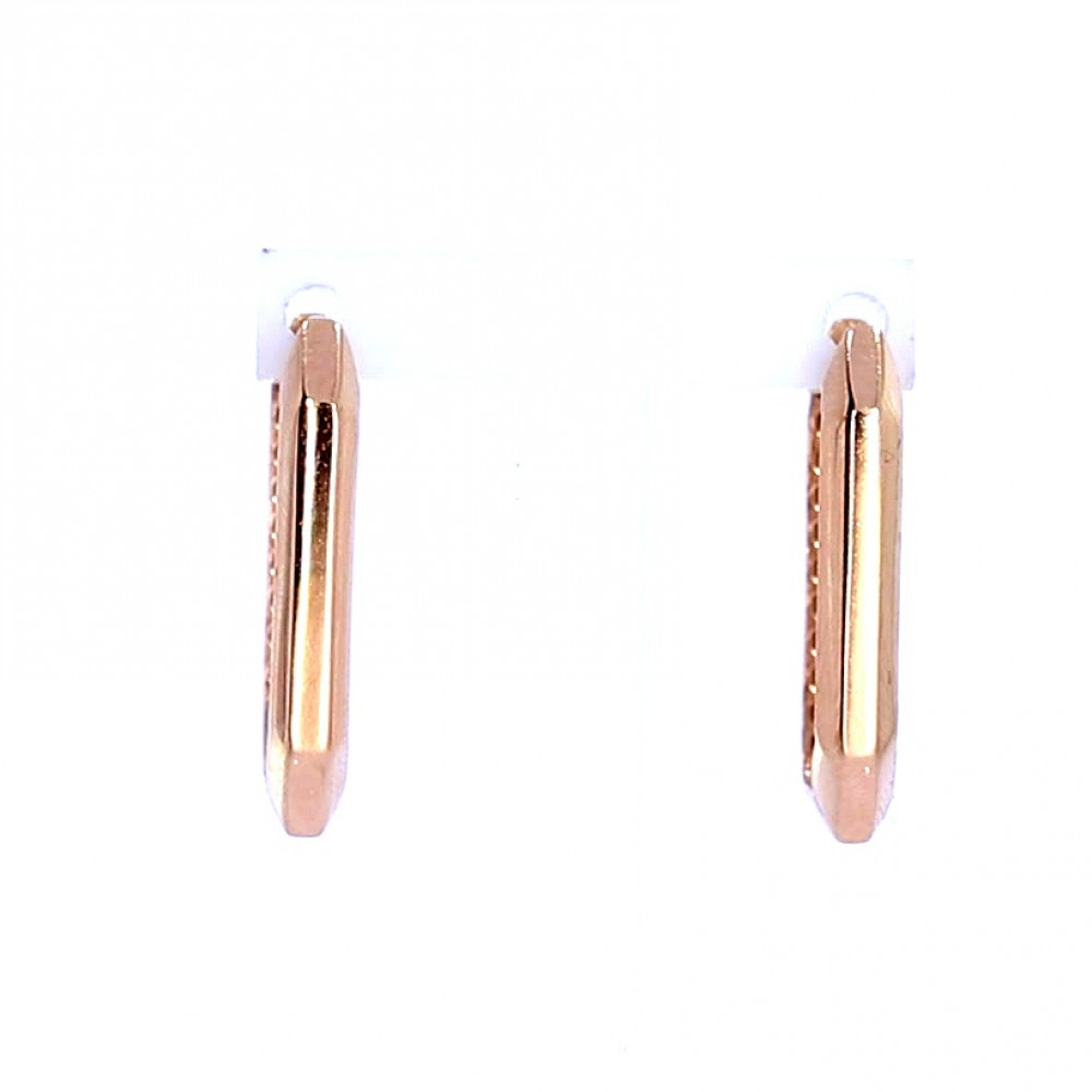 Kuldsed kõrvarõngad