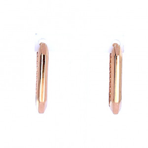 Kuldsed kõrvarõngad