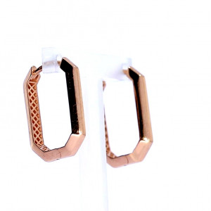 Kuldsed kõrvarõngad