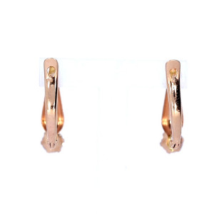 Kuldsed kõrvarõngad