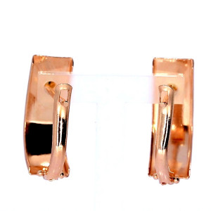 Golden earrings