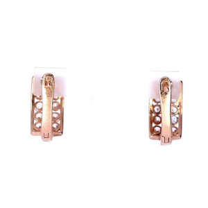 Auksiniai auskarai su cirkoniu