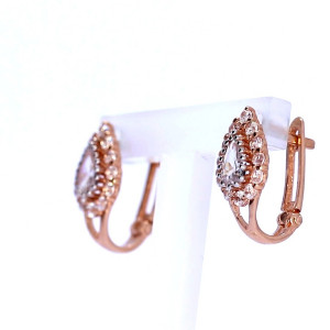 Kuldsed kõrvarõngad