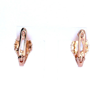 Kuldsed kõrvarõngad