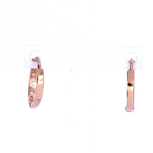 Kuldsed kõrvarõngad