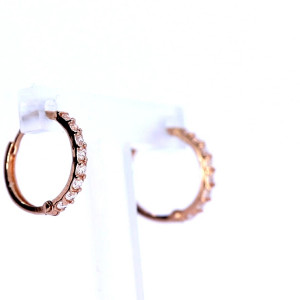 Kuldsed kõrvarõngad